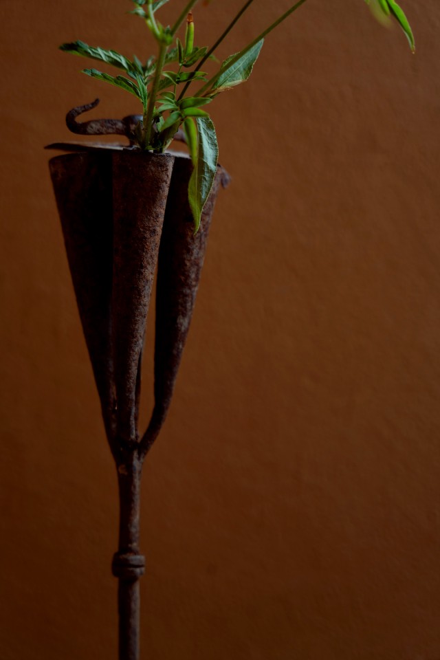 廊下に宿る“力と静寂”  ー アフリカの酋長の杖を花器に見立てて